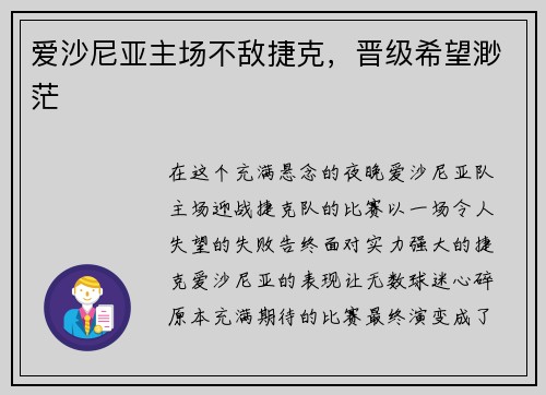 爱沙尼亚主场不敌捷克，晋级希望渺茫