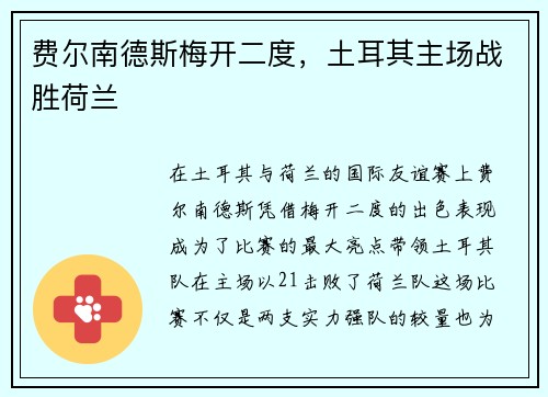 费尔南德斯梅开二度，土耳其主场战胜荷兰